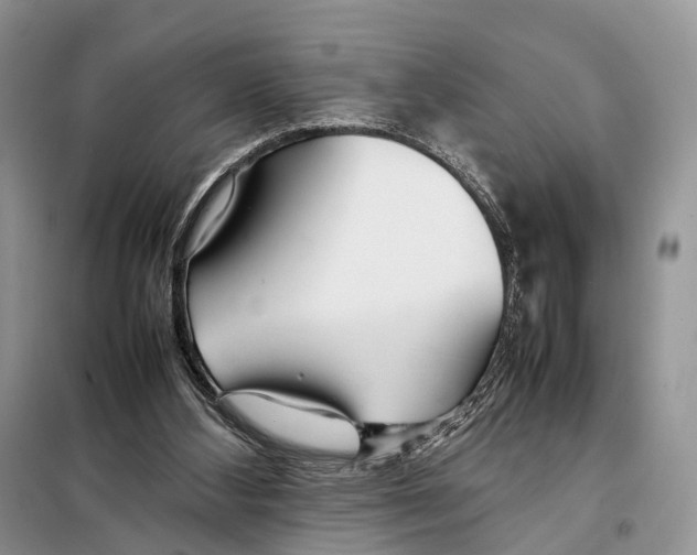 X0000097900108200804111055