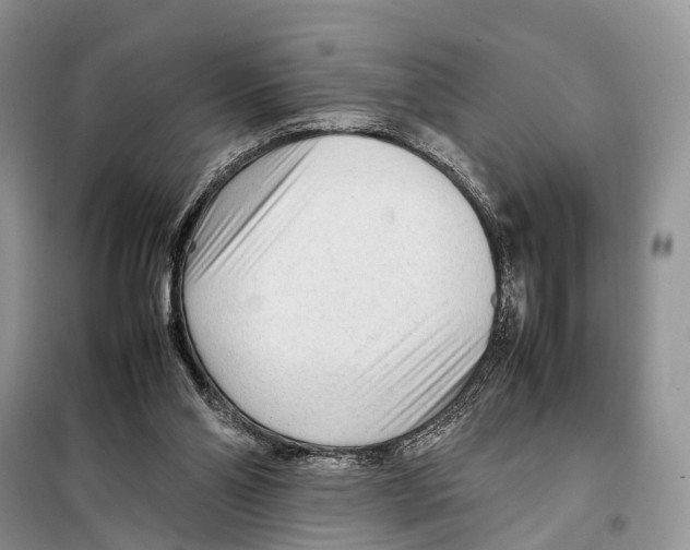 X0000097900110200804111055