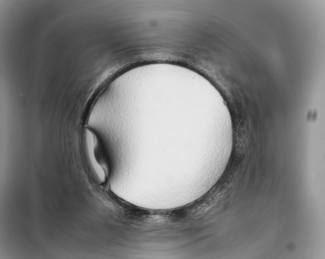 X0000097900111200804111055