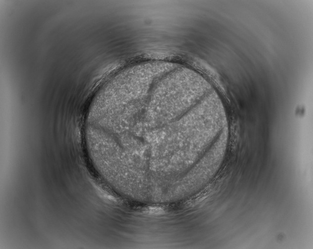 X0000097900114200804111055