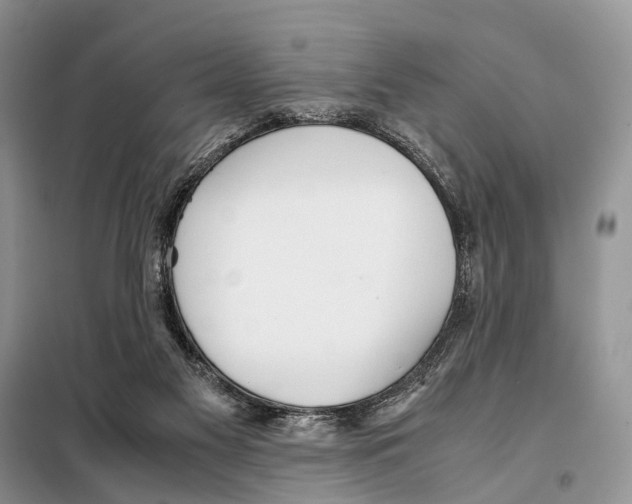 X0000097900117200804111055