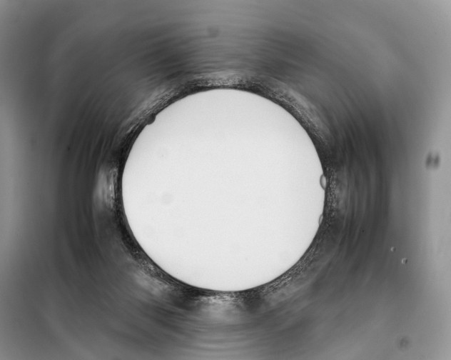 X0000097900118200804111055