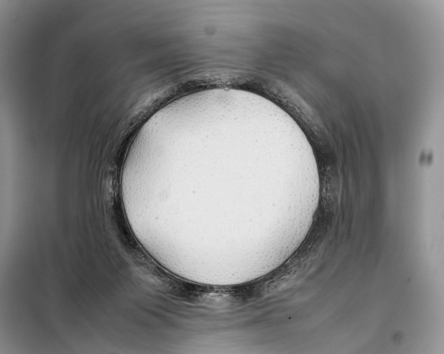 X0000097900119200804111055