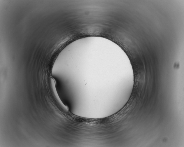 X0000097900120200804111055