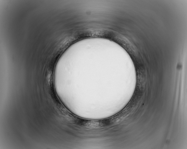 X0000097900123200804111055