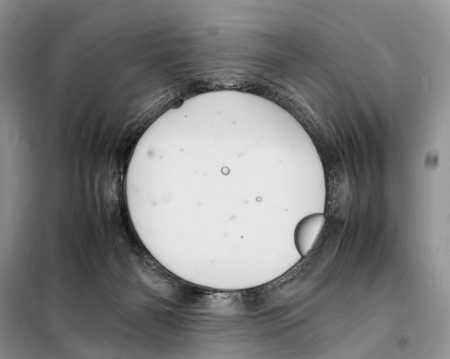 X0000097900126200804111055