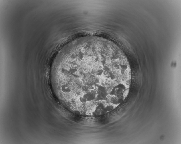 X0000097900127200804111055