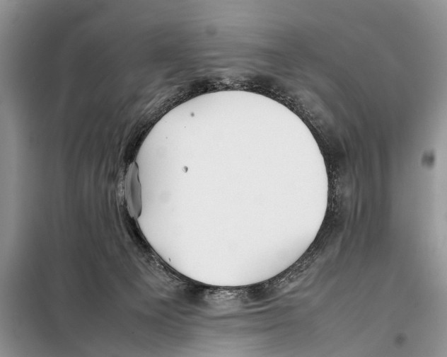 X0000097900129200804111055