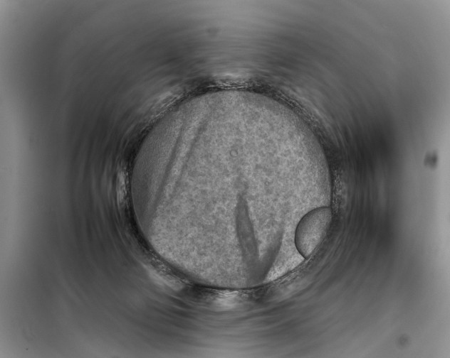 X0000097900130200804111055