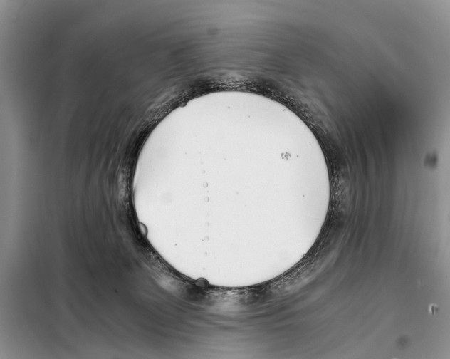 X0000097900131200804111055