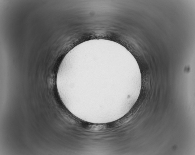 X0000097900135200804111055