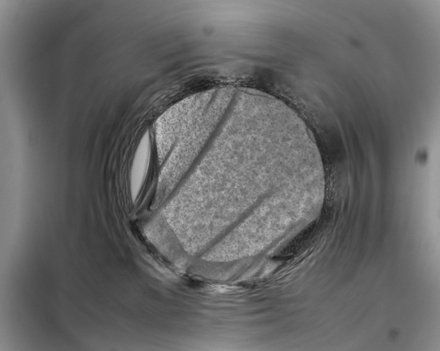 X0000097900137200804111055