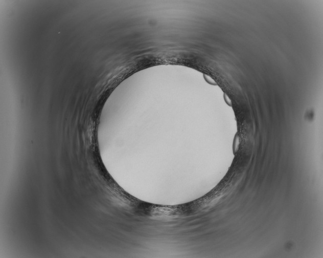 X0000097900139200804111055