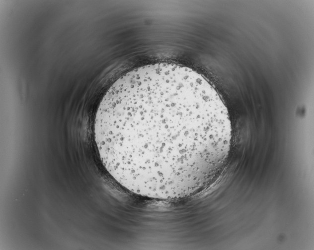 X0000097900140200804111055