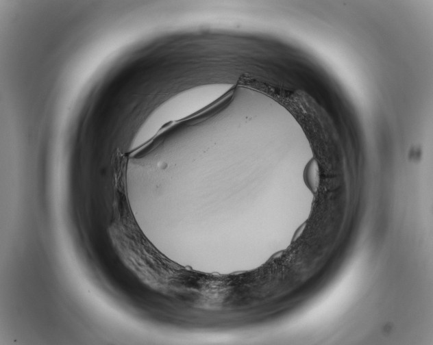 X0000097900143200804111055