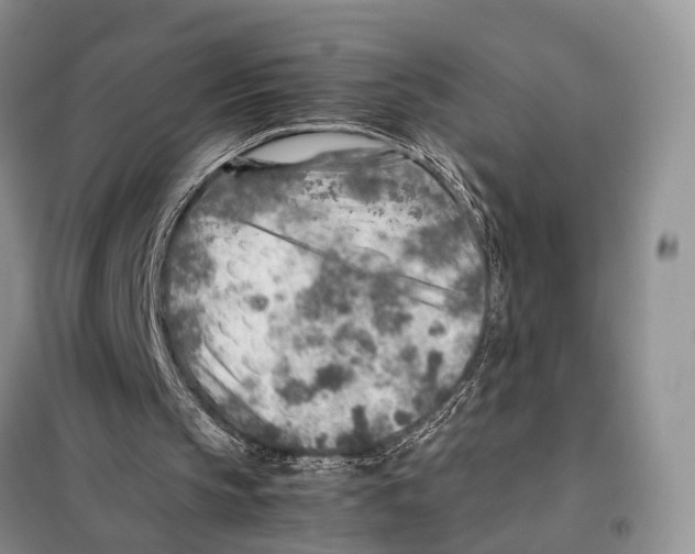 X0000097900145200804111054