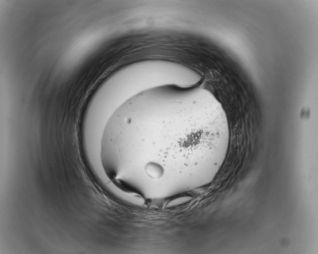 X0000097900146200804111054