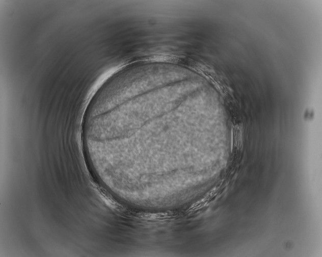 X0000097900147200804111054