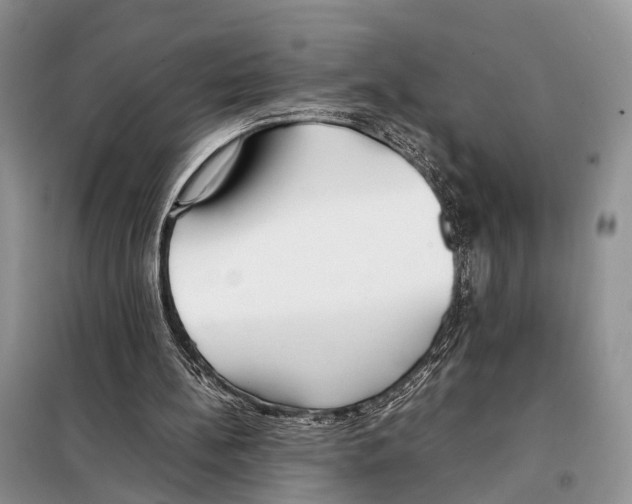 X0000097900148200804111054