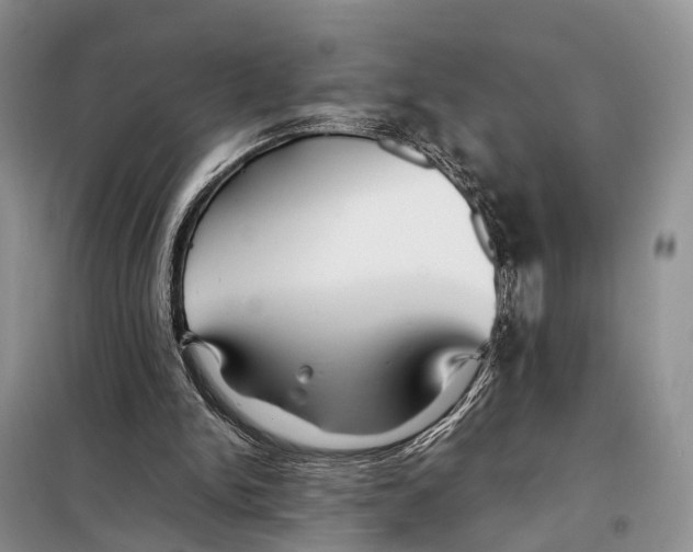 X0000097900150200804111054