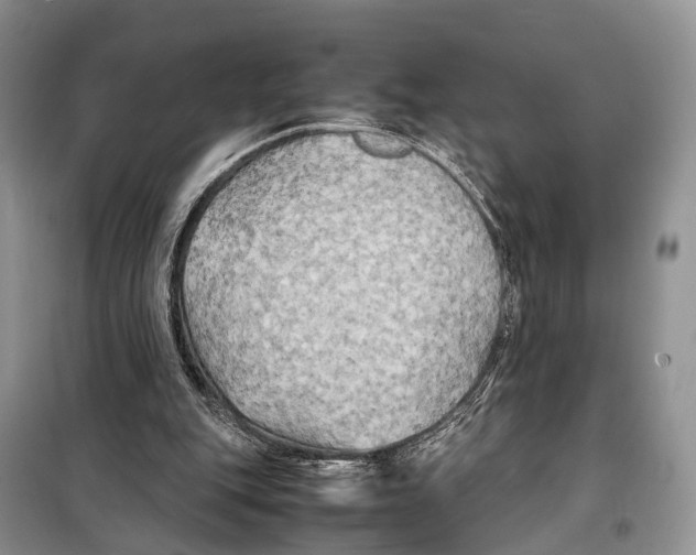 X0000097900151200804111054