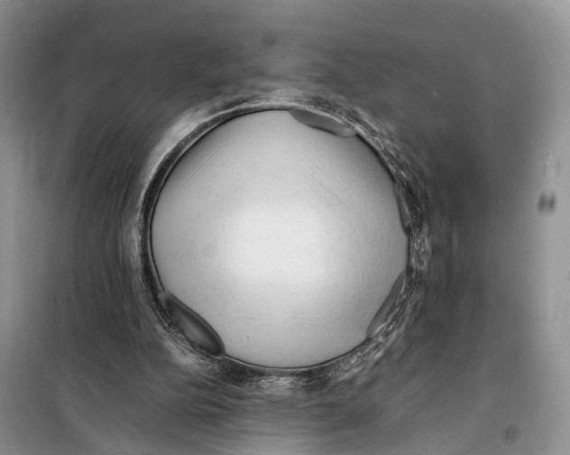 X0000097900152200804111054