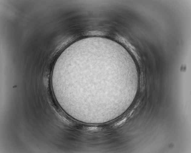 X0000097900153200804111054