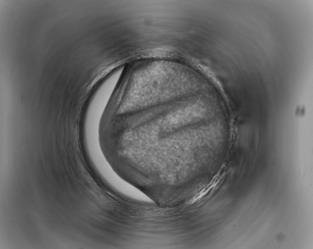 X0000097900154200804111054