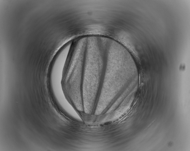 X0000097900156200804111054