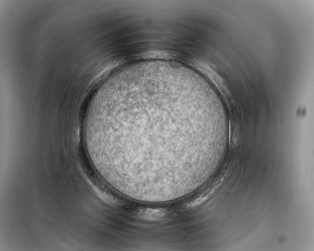 X0000097900157200804111054