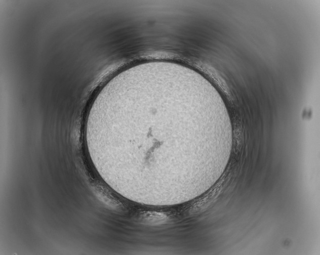 X0000097900159200804111054