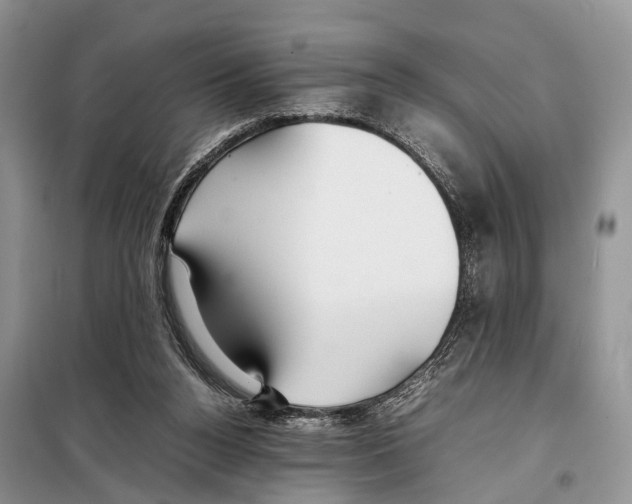 X0000097900160200804111054