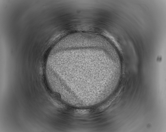 X0000097900161200804111054