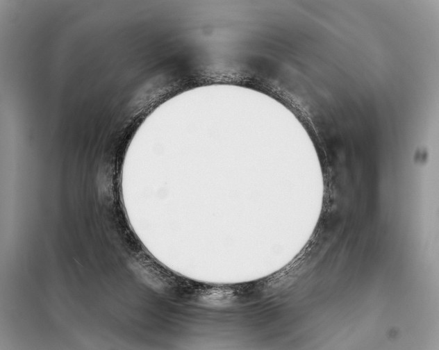 X0000097900162200804111054