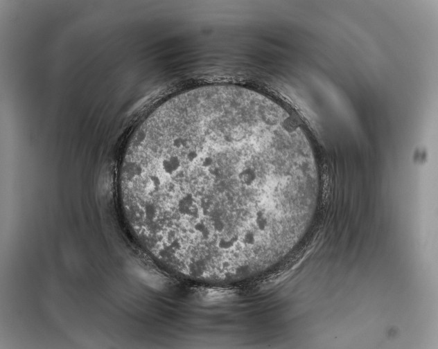 X0000097900165200804111054