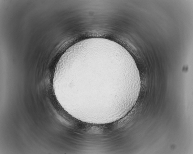 X0000097900166200804111054