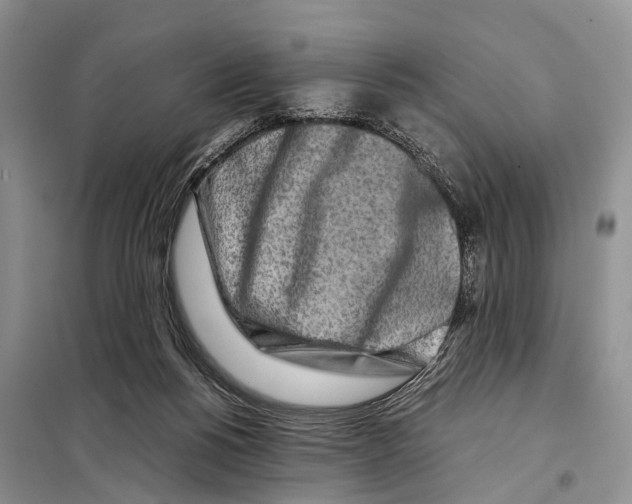 X0000097900168200804111054