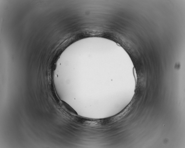 X0000097900170200804111054