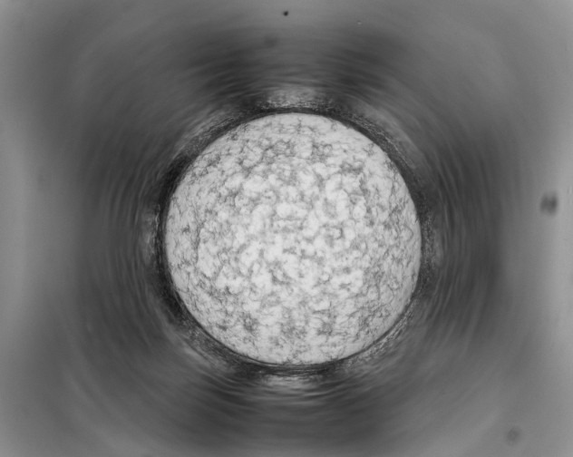 X0000097900171200804111054