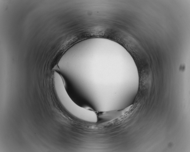 X0000097900172200804111054