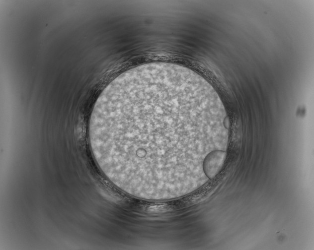 X0000097900173200804111054