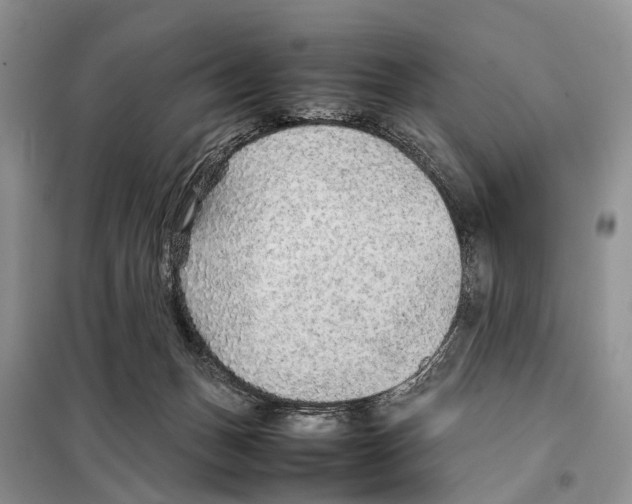 X0000097900175200804111054