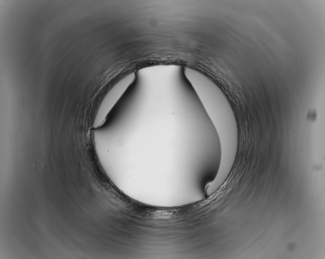 X0000097900176200804111054