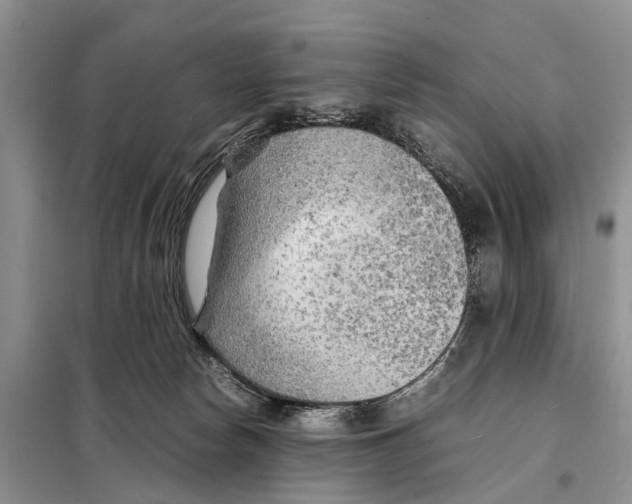 X0000097900178200804111054