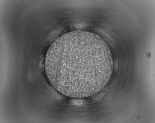 X0000097900181200804111054