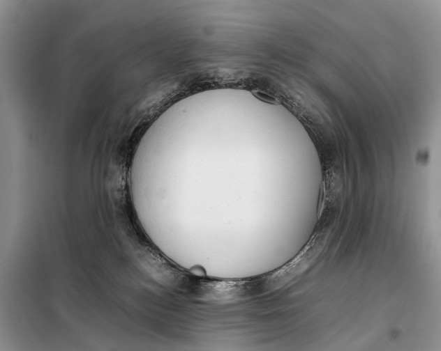 X0000097900184200804111055