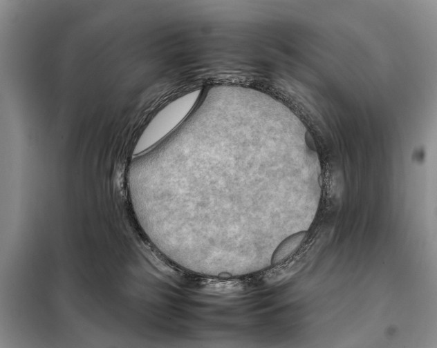 X0000097900185200804111055