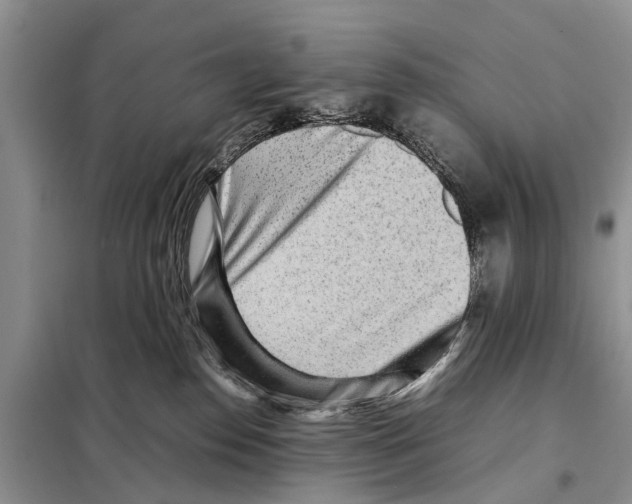 X0000097900186200804111055