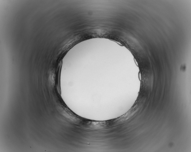 X0000097900188200804111055