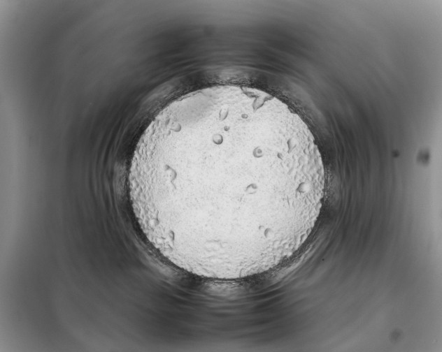 X0000097900189200804111055